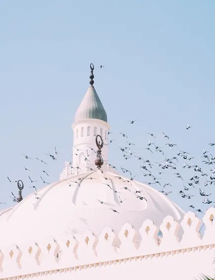 مسجد قباء
