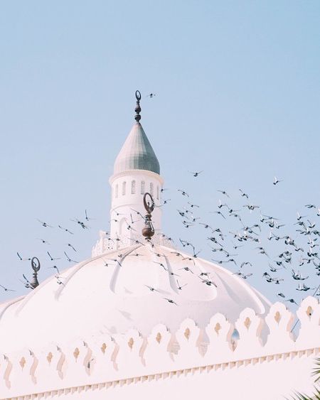 مسجد قباء