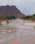 وادي العقيق
