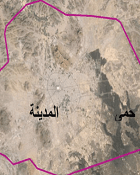 حمى المدينة