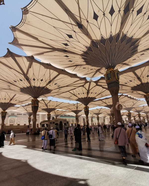 فضائل المدينة المنورة