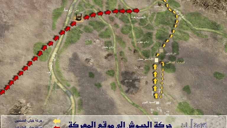 منطقة الشوط